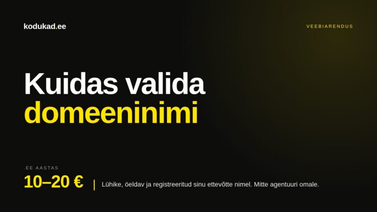 Domeeninimi — kuidas valida ja mida kontrollida